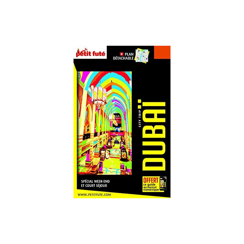 Guide Dubaï 2022-2023 City trip Petit Futé