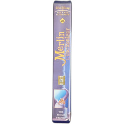 Merlin l'Enchanteur