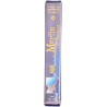 Merlin l'Enchanteur