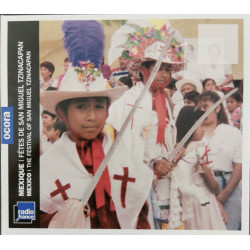 Mexique: Fêtes De San Miguel Tzinacapan Mexico: The Festival Of...