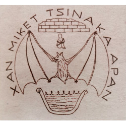 Mexique: Fêtes De San Miguel Tzinacapan Mexico: The Festival Of...