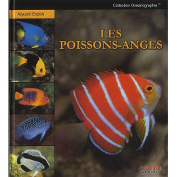 Les Poissons-Anges (NEUF SOUS BLISTER)