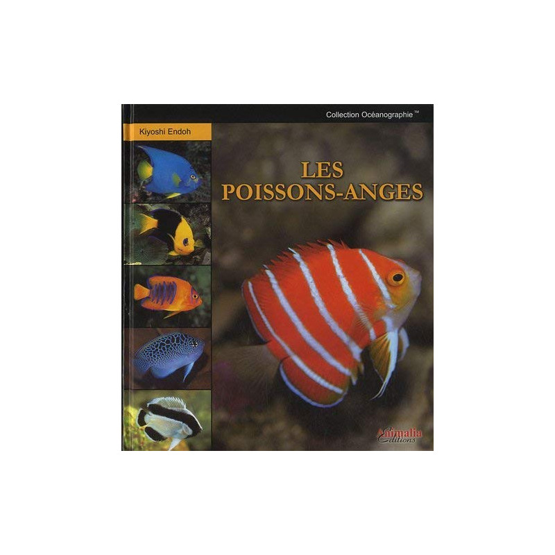 Les Poissons-Anges (NEUF SOUS BLISTER)