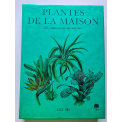 PLANTES DE LA MAISON