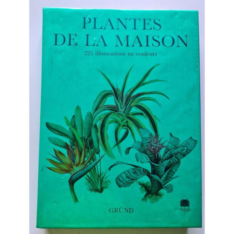 PLANTES DE LA MAISON
