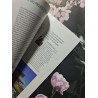 Dossier familial nº 542