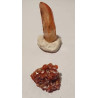 Lot de 2 Quartz hématoïde vanadinite sur barytine QHVB 14