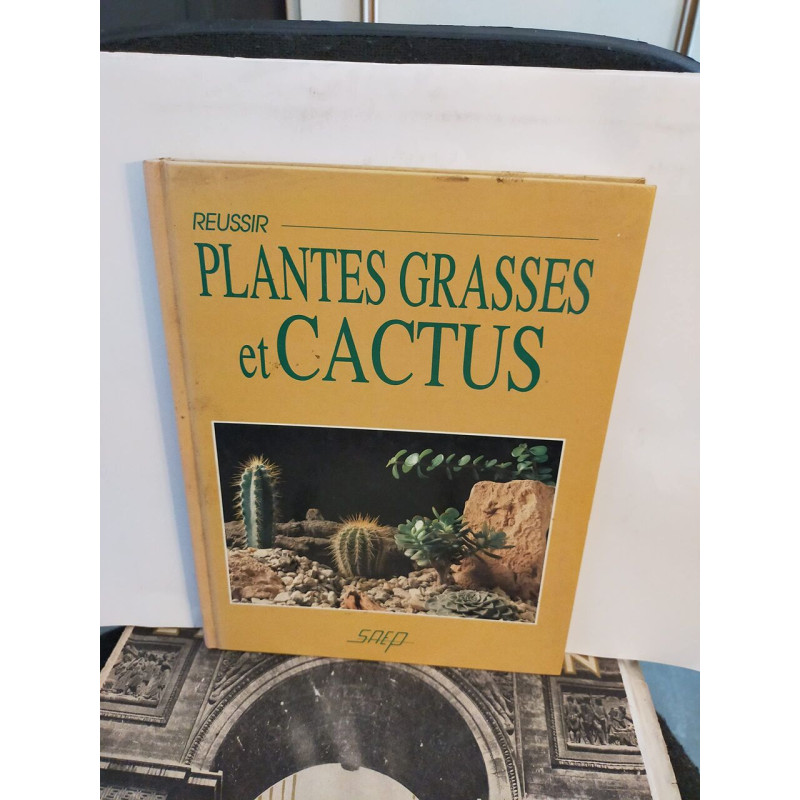 Réussir plantes grasses et cactus