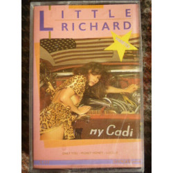 LITTLE RICHARD Cassette Audio-K7 STINGER S.117