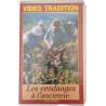 Les vendanges à l'ancienne