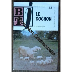 Btj Bibliothèque De Travail Junior N°43 : Le Cochon (Pédagogie...