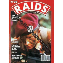 Raids N 22