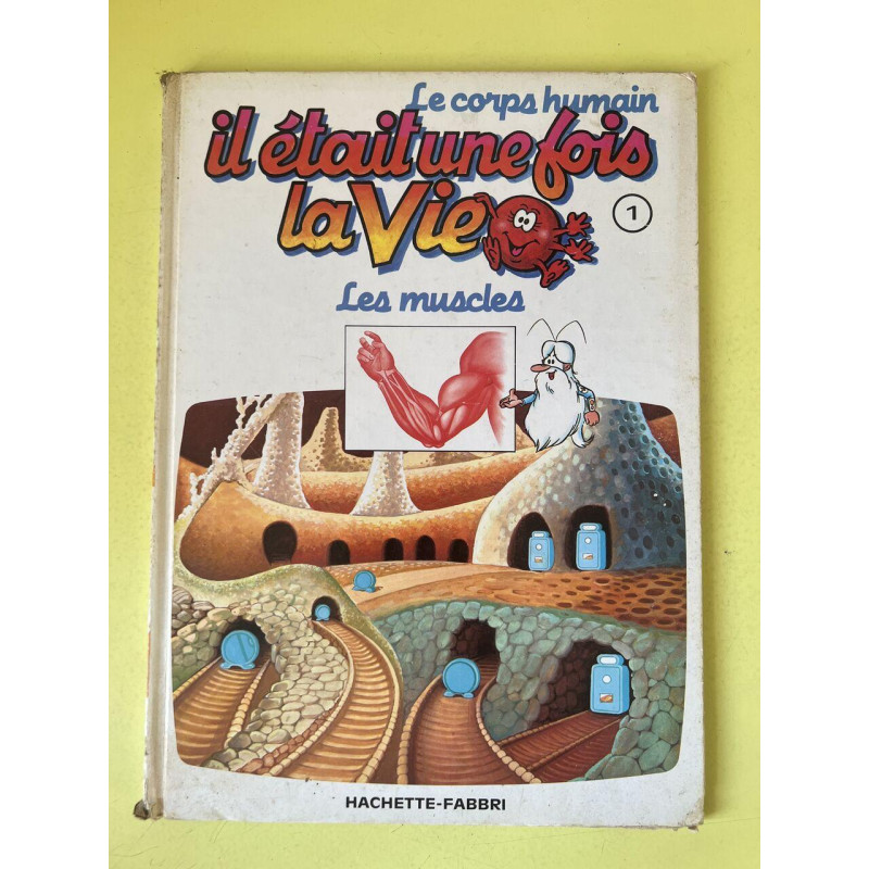 Il étaitune fois la vie les muscles