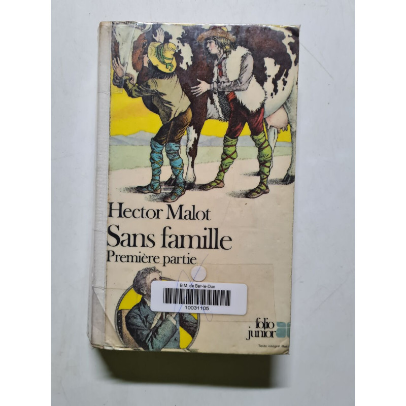 Sans famille - 1980