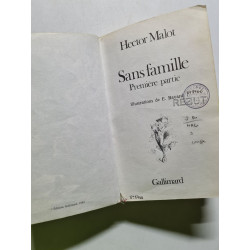 Sans famille - 1980