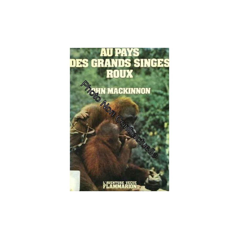 Au pays des grands singes roux