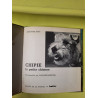 Chipie la petite chienne
