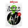 Guide Amateur de Champagne 2021 Petit Futé