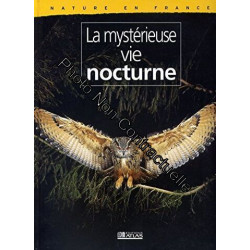 La mystérieuse vie nocturne