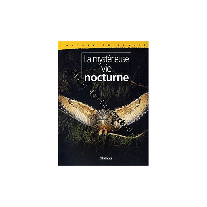 La mystérieuse vie nocturne
