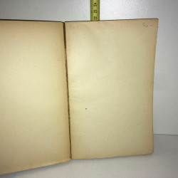 LES BEAUX QUARTIERS Roman