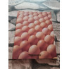 Le Livre de l'Oeuf