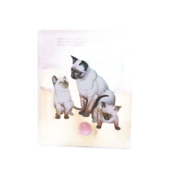 Petits amis