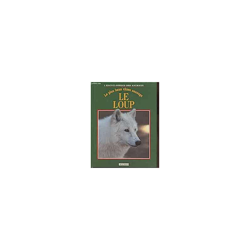 Le loup - le plus beau chien sauvage
