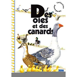 Des oies et des canards