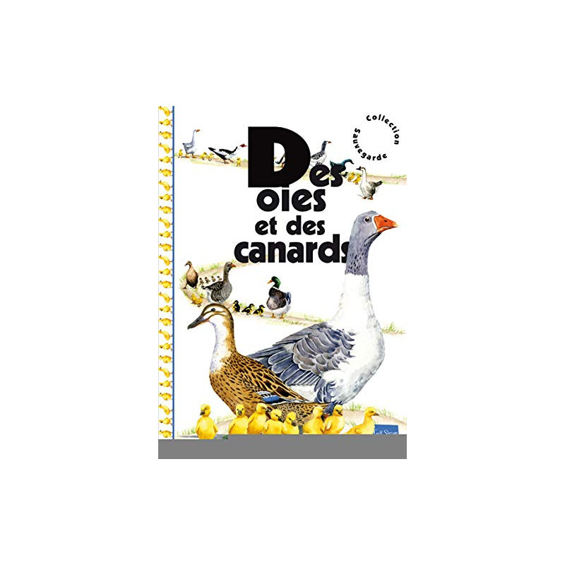Des oies et des canards