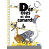 Des oies et des canards