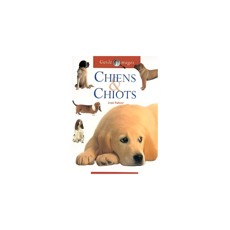 Chiens et chiots