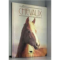 Les chevaux (kaleidoscope)