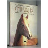 Les chevaux (kaleidoscope)
