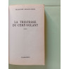 La Tristesse du cerf-volant