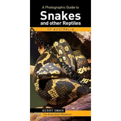 A Photographic Guide to Snakes and Reptiles of Australia