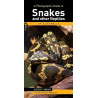 A Photographic Guide to Snakes and Reptiles of Australia