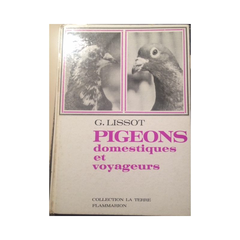 PIGEONS DOMESTIQUES ET VOYAGEURS