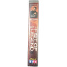 VHS Fist of Legend