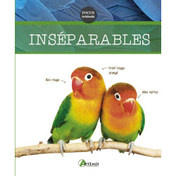 INSEPARABLES