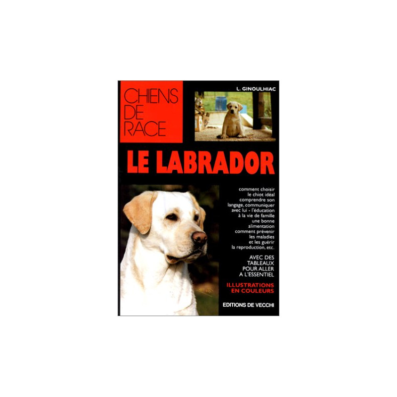Le labrador