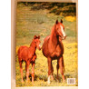 LES CHEVAUX