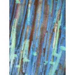 Madeleine claass Herbes folles pastels gras sur papier 65 cm x 50 cm