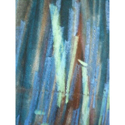 Madeleine claass Herbes folles pastels gras sur papier 65 cm x 50 cm