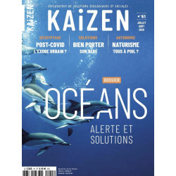 Kaizen n°51