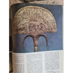 Larousse du cheval