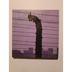 Auschwitz: Voices from the Ground