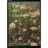 Fleurs des champs