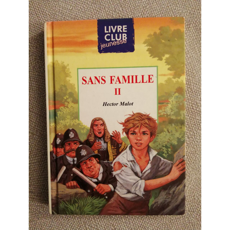 Sans famille 2