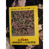 Fleurs A Massifs et a couper